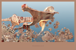 Mandelbulb xxiv b - Raw