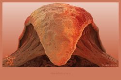 Mandelbulb xxxix a - Raw