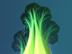 Broccoli simulation :)