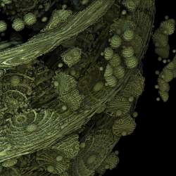 Fusion of mandelbulb (power 8) and mandelbox (scale =-1.5)