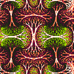 Entangled Trees