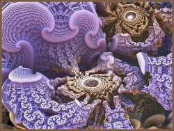 Crab Coral