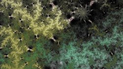 Luminescent Lichen
