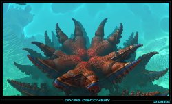 Diving discovery