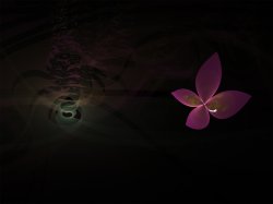The Butterfly & Spider in the Dark