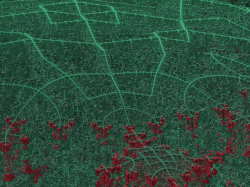 Non NASA Mars Image - Tropical Rain Forests Aerial View