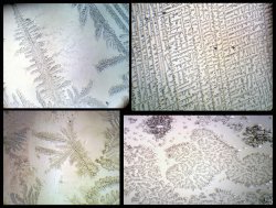 I saw some fractals under microscope