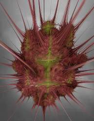 Mandelbulb with Radiolaria-Tweak, Power=8